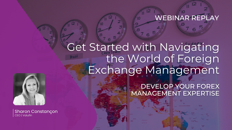 Valufin - Get Started with Navigating the world of Foreign exchange management-2